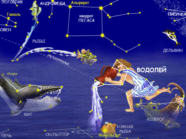 Водолей | Ситуативные юмористические гороскопы. Смешные, веселые и ...